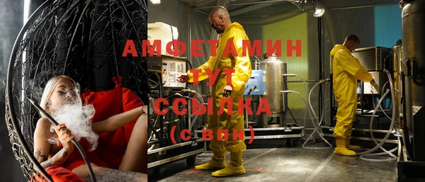 молекула духа Алзамай