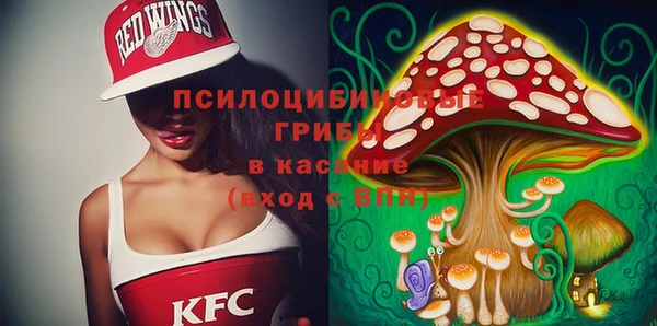 мескалин Абаза