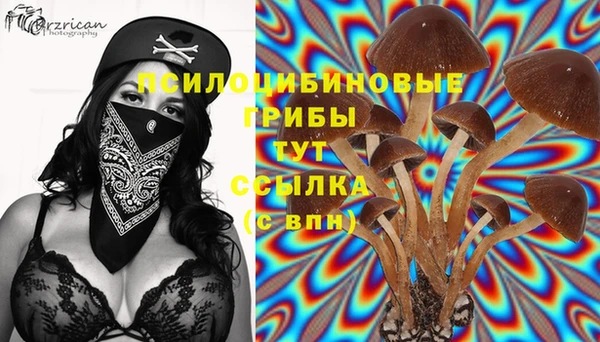 молекула духа Алзамай
